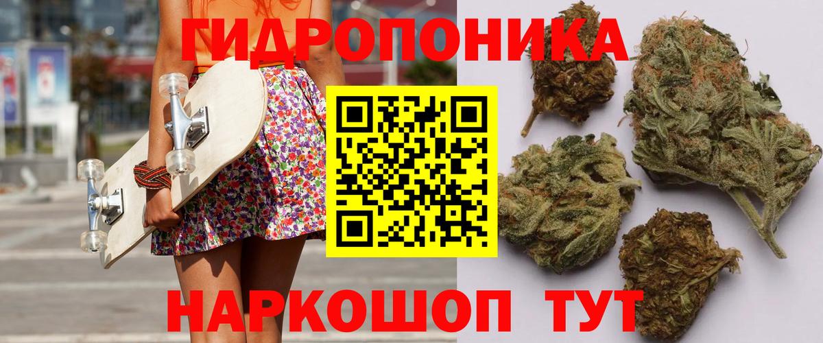 Соль-Илецк  Каннабис сатива  МАРИХУАНА семена  Вход с VPN  Канабис план 